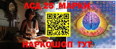 молекула духа Будённовск