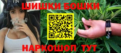 молекула духа Будённовск
