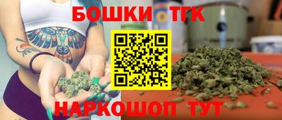 молекула духа Будённовск