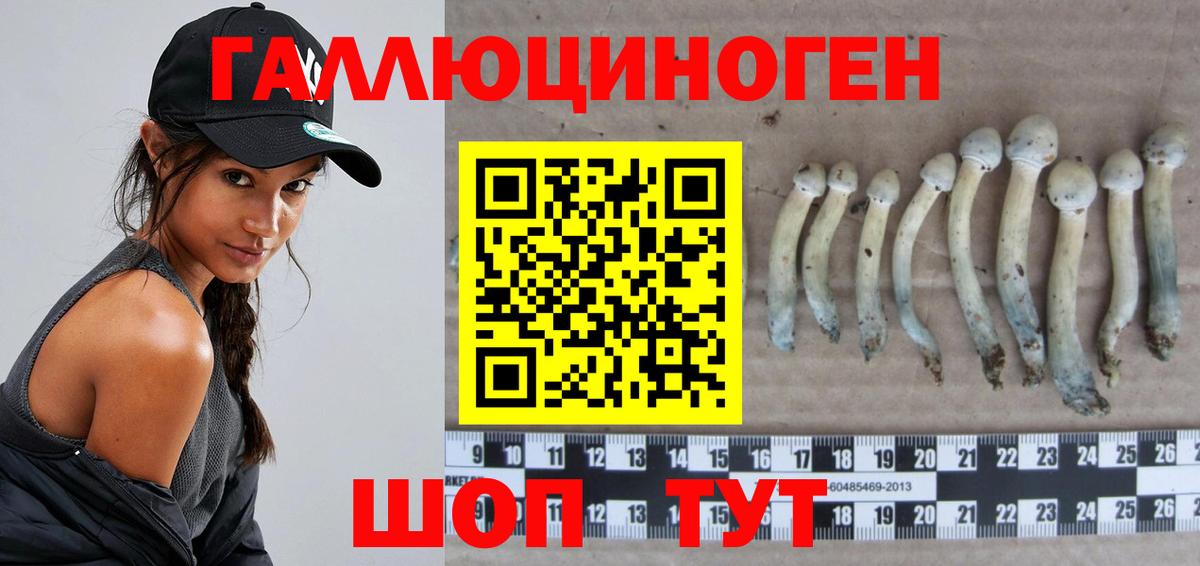 Ревда  Псилоцибиновые грибы Psilocybine cubensis  Вход с VPN  Галлюциногенные грибы Cubensis 
